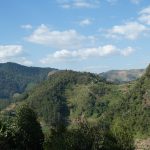 Bwindi Nationalpark: Gorillatrecking