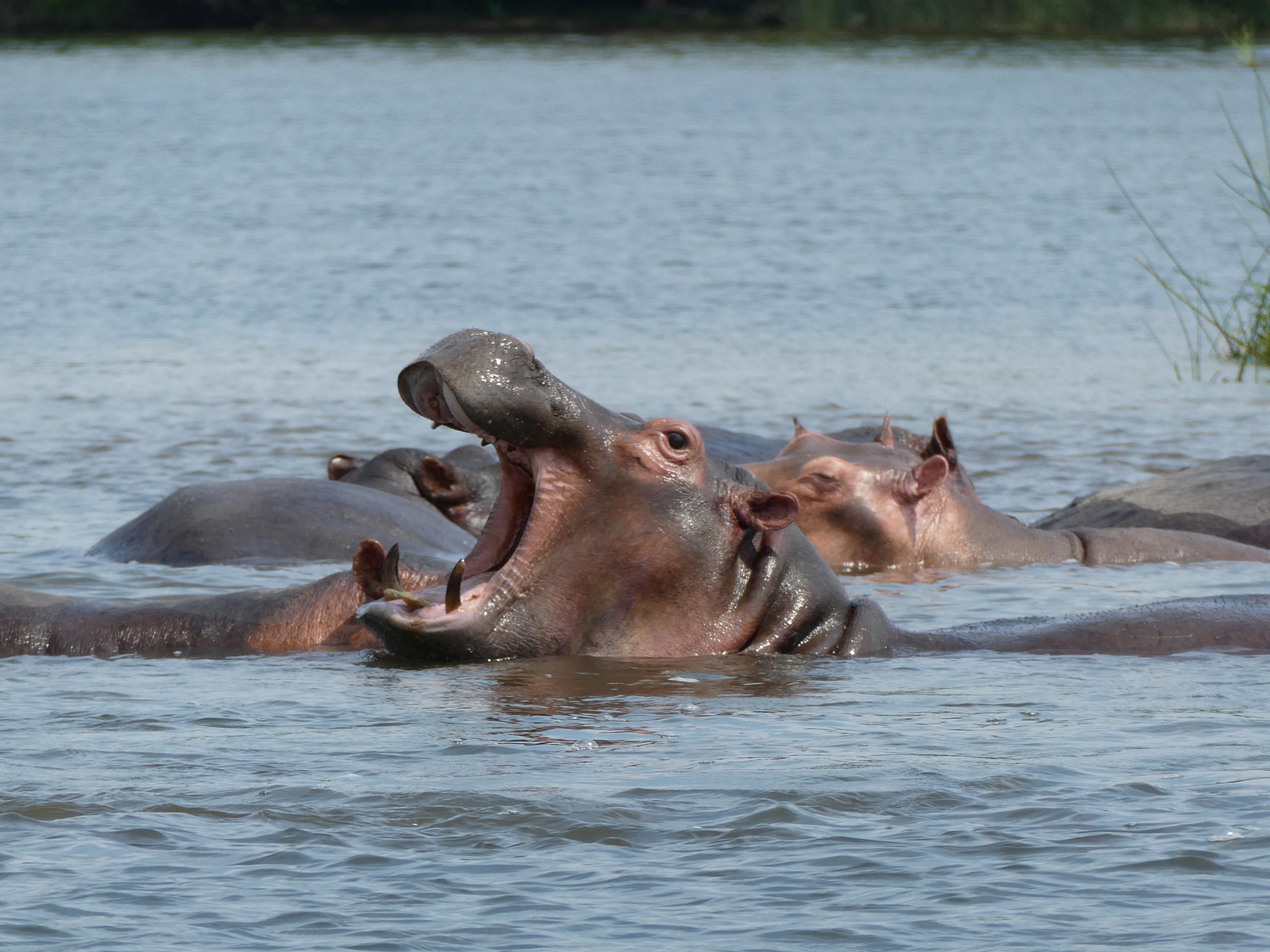 You are currently viewing Murchison Nationalpark