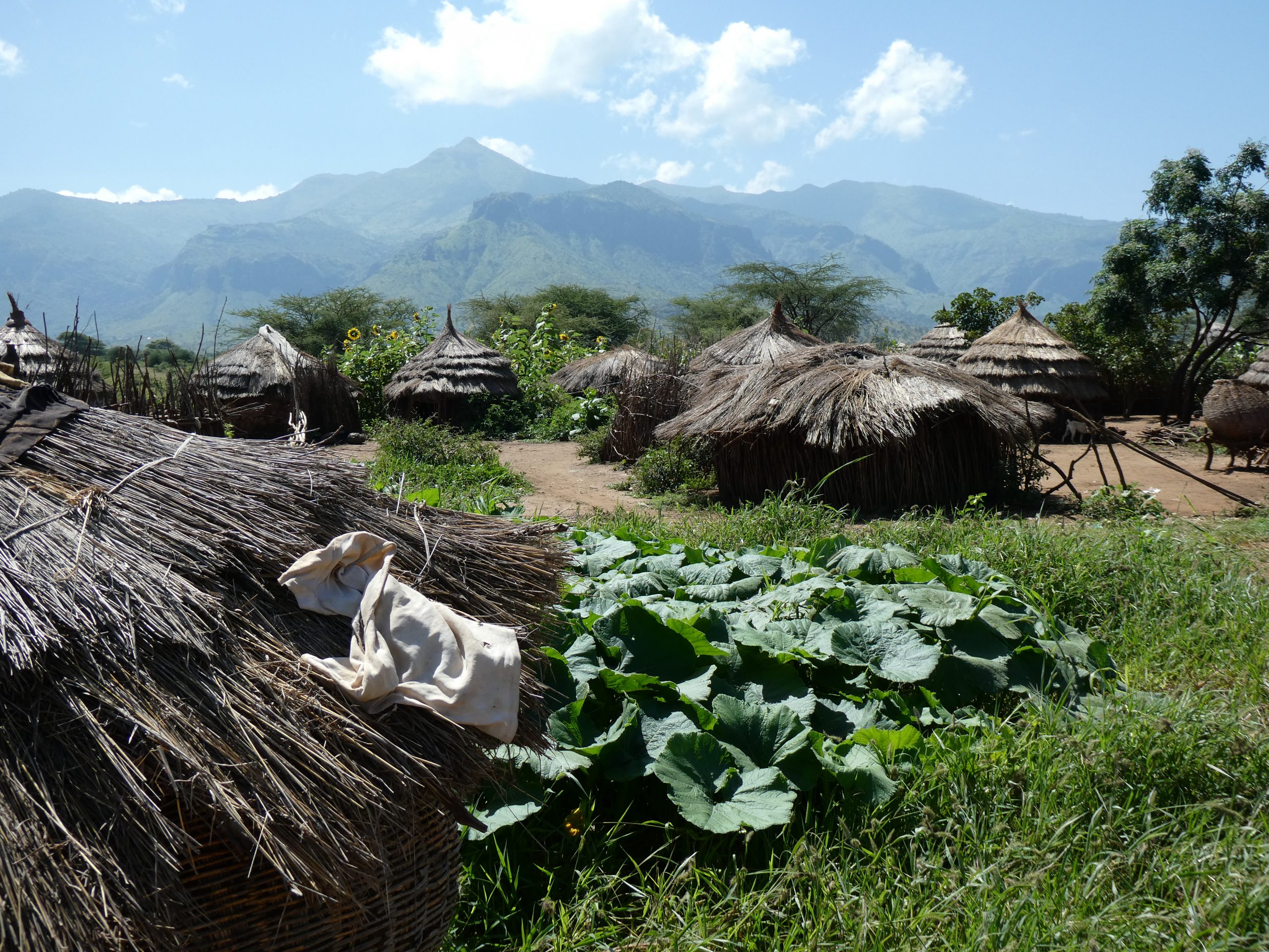 You are currently viewing Karamoja Region